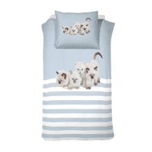 Cinderella Dekbedovertrek Cute Kittens - Eenpersoons - 140x200/220 cm - Blue