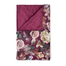 Essenza Sprei Claire (Cherry)