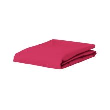 Essenza Premium Percale Hoeslaken - Raspberry