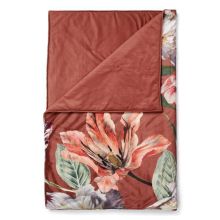 Essenza Sprei Filou (Shell Brown)